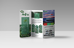 產(chǎn)品三折頁宣傳冊(cè)印刷